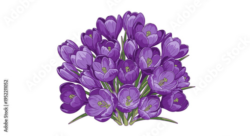A bouquet of purple crocus flowers.