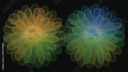 colorful gradient flowers on dark background  abstract design elements