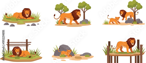 Lion Wildlife Scene Collection with African Savannah Animals, Male Lion, Cub, and Natural Habitat Illustrations Vector Illustration Set