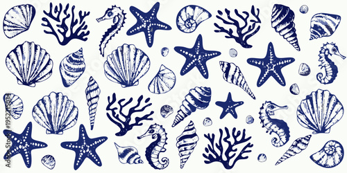 A collection of blue and white illustrated marine life and seashells