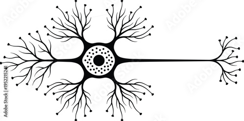 Neuron cell structure illustration with branching dendrites and axon, nervous system concept, brain connectivity, neural network design, scientific biology, microscopic anatomy visualization