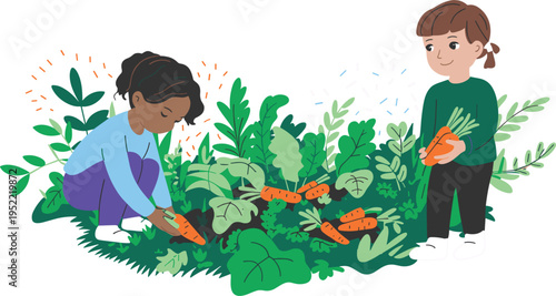 Children harvesting fresh carrots in the garden, vector illustration of organic farming and sustainability