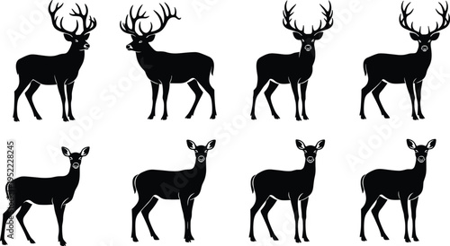 Deer silhouettes collection stag doe wildlife animal forest nature standing poses isolated on white background vector illustration set