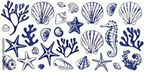 Vintage nautical illustration featuring seashells coral starfish and a seahorse
