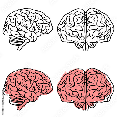 Set editable sketch drawing brain vector for psychology blogs. Ideal for symbolizing rough mental health concepts, sketchy ideas, and human biology.