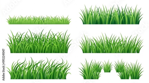 Green Grass Illustration: A collection of various lush, vibrant green grass illustrations, perfect for adding a touch of nature and freshness to your designs. 