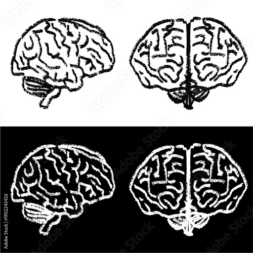 Set editable chalk drawing brain vector for psychology classes. Ideal for symbolizing vintage mental health, chalkboard logic, school anatomy, and cognitive human mind studies.