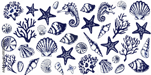 Blue ink sketches of various marine life and seashells arranged closely together