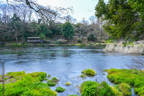 Wallpaper Mural 日本静岡県三島の柿田川湧水郡 Torontodigital.ca
