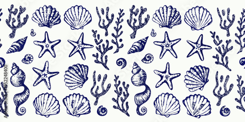 Vintage style illustration of various seashells starfish and coral