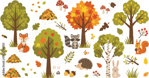 Cute autumn woodland forest animal and nature element collection with fox raccoon hedgehog squirrel rabbit trees leaves and mushrooms.Cute autumn woodland forest animal and nature element collection w