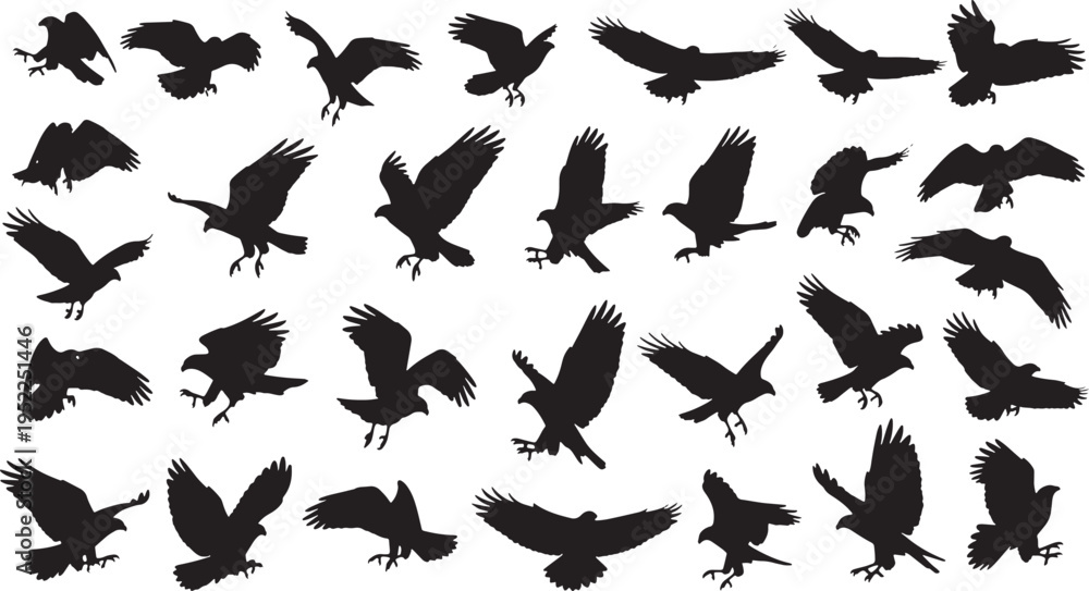 Fototapeta premium flock of hunting birds in flight vector illustration