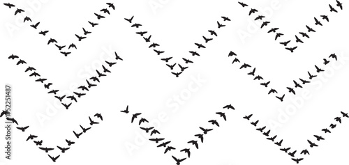 flock of migrating birds flying in wavy formation vector illustration