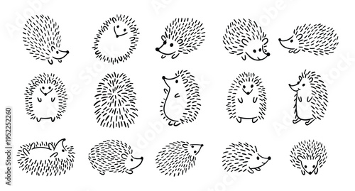 Doodle hand drawn cute hedgehog set. Hand drawn adorable hedgehog collection. Outline drawing for children.