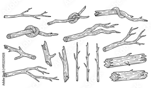 Outline vector set of driftwood and fallen branches for minimalist and botanical designs