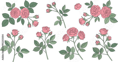 Set of Funny Cartoon Rooster Characters in Various Poses Including Crowing, Dancing, and Walking for Farm Animal Illustrations, Poultry Mascot Designs, and Countryside Graphics