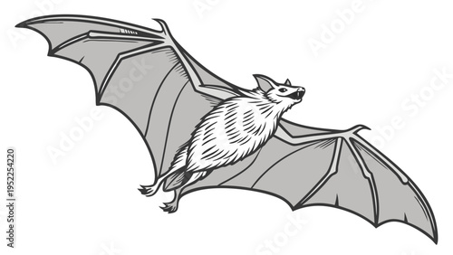 Detailed Illustration of a Flying Bat Isolated on a White Background for Halloween Decorations Wildlife Education and Graphic Design Projects
