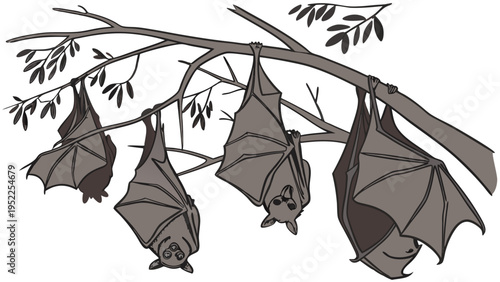 Group of Four Bats Hanging Upside Down from a Tree Branch in a Forest Illustration for Wildlife Education and Nature Conservation Projects for Children and Science Textbooks