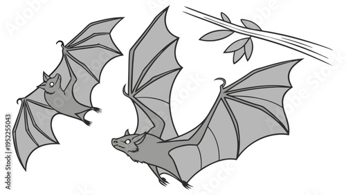 Two Flying Bats Soaring Near Tree Branch for Halloween Science Education or Wildlife Design Projects