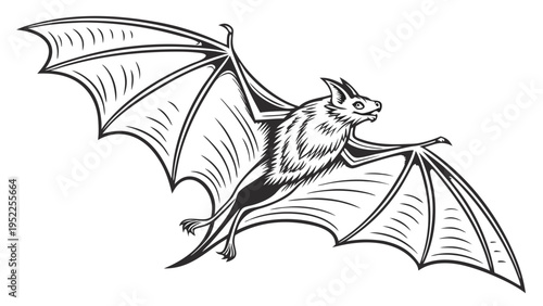Flying Bat Silhouette Spreading Wings for Halloween Horror Night Events Wildlife Illustration for Spooky Design Projects