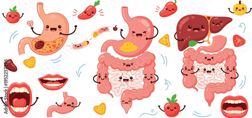Cute Digestive System Cartoon Vector Set Featuring Stomach, Intestines, Liver, Mouth, and Healthy Food Characters in Fun Educational Style