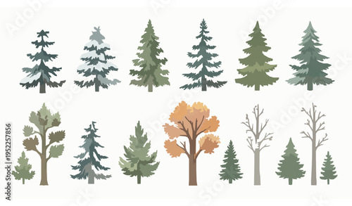 Hand-drawn watercolor Nordic trees pack for whimsical, winter, and autumn illustrations