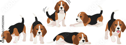 Boxer Dog Illustration Set with Fawn and Brindle Puppies in Playful Poses including Sitting Standing and Play Bow for Pet Care Branding and Animal Character Vector Graphics