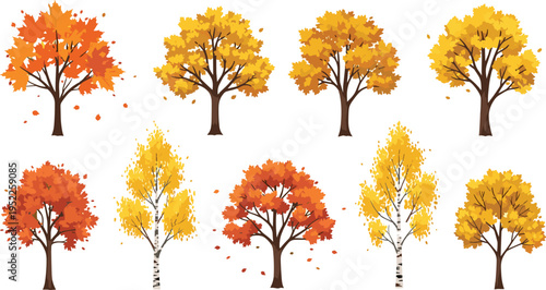Autumn Tree Vector Collection with Detailed Fall Foliage and Maple Birch Orange Leaf Designs for Seasonal Landscapes Forest Elements and Nature Graphics