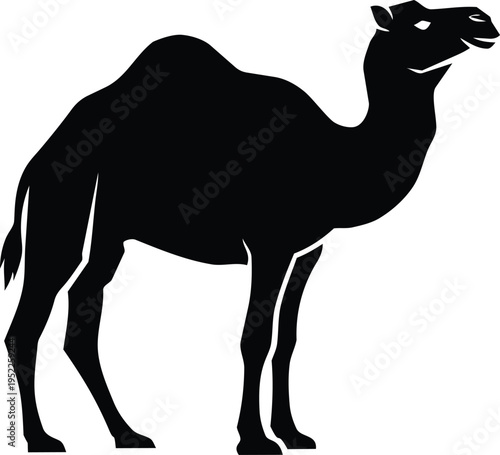 Silhouette of a camel in black and white