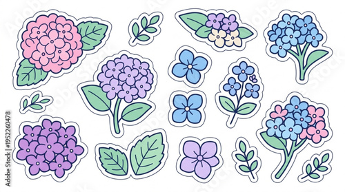Colorful hydrangea flower stickers in pink purple and blue hues with green leaves on white background for decoration and design