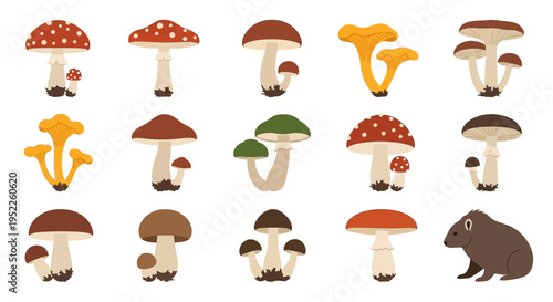 colorful cartoon mushrooms and bear on white background