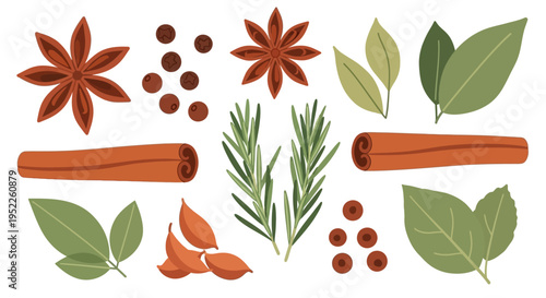 assortment of culinary spices and herbs, star anise, cinnamon, rosemary