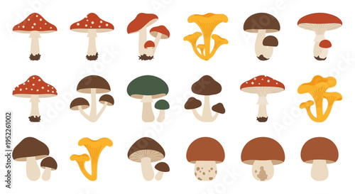 Diverse collection of colorful mushroom illustrations