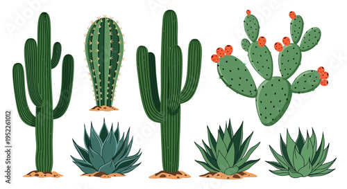 Desert Plants Collection: Saguaro, Prickly Pear, Agave Icons