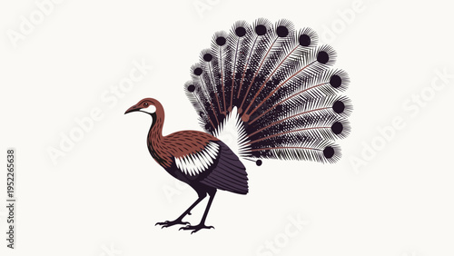 Stylized illustration of a peacock-like bird with a large fanned tail showing intricate feather patterns on a light background.