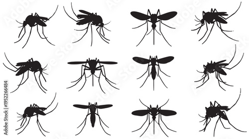 Mosquito Silhouettes Vector Collection Isolated on White Background