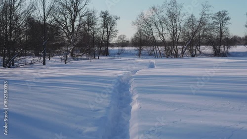 Wallpaper Mural View of a snowy path leading across a winter field toward distant trees. Camera moves slowly forward along the trail through deep untouched snow. High quality 4k footage Torontodigital.ca