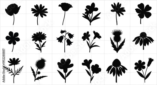 Collection of black flower silhouettes on white grid background floral botanical