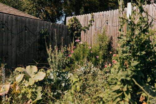 Φωτογραφία View of messy backyard garden on an October evening