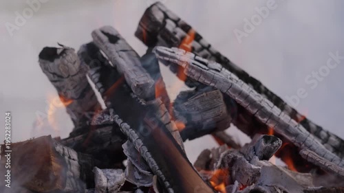 Wallpaper Mural Close-up of bright flames burning stacked firewood in a winter campfire. The fire burns inside a snow pit while smoke rises in cold outdoor winter conditions. High quality 4k footage Torontodigital.ca