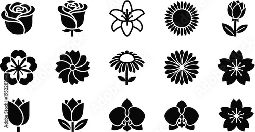Collection of fifteen black flower on white background rose lily sunflower tulip