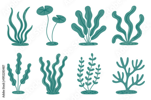 Stylized aquatic plants vector set, flat cartoon-style illustrations of freshwater and marine plants, seaweed, pond flora, and underwater vegetation, isolated vector for aquarium, botanic,