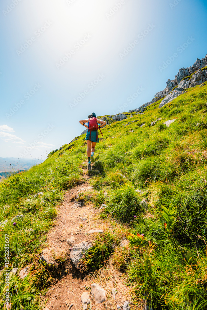 Obraz premium Sedlo Pass and Boljske Grede mountain massif in Durmitor National Park, Montenegro. Hiking in mountain from prevoj saddle to Sedlena greda