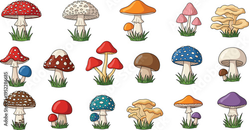 Colorful Mushroom Collection Vector Illustration Set Featuring Various Fungi Species Toadstools And Forest Plants Isolated On White Background For Nature Graphic Design Projects