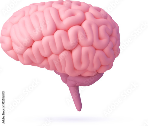 3D human brain model for anatomy medicine or science of body organs, vector realistic icon. Human brain plasticine mockup 3D object for medical education or mental health in psychology and neurology