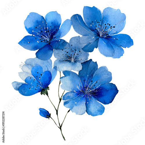 Blue Flowers Watercolor Bouquet Isolated on White Background for Design Projects