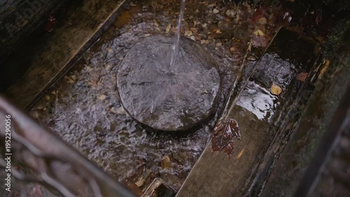 Wallpaper Mural Clear water stream falls onto a wooden log slice inside a forest spring basin. Natural interaction of water and wood, emphasizing texture, movement, and raw outdoor environment. High quality 4k Torontodigital.ca