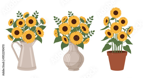 Arrangements of bright yellow sunflowers in ceramic pitcher elegant vase and clay pot for rustic home decor and gardening concepts.