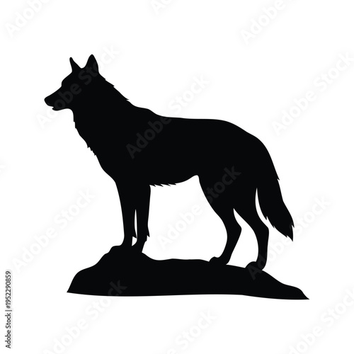 Silhouette of a majestic wolf standing on a rock, vector illustration design, wolf guarding territory silhouette vector illustration