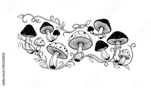 Forest mushroom vine silhouette natural botanical vector illustration